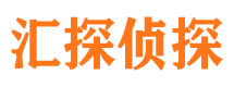 大余市调查公司